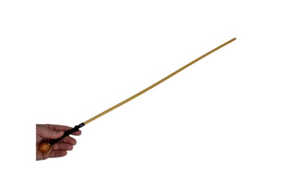 1 4 inch cane 1 tn1 1